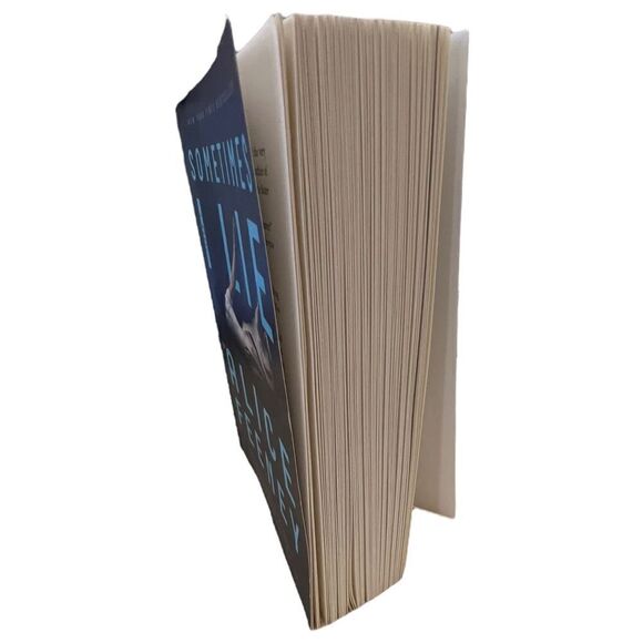 Soft Cover Book: “Sometimes I Lie” By: Alice Feeney - Picture 4 of 4